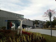 -中国版画博物馆