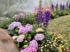 -人民公园(罗湖区)