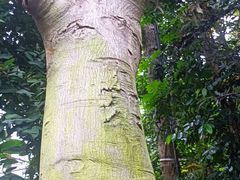 -华南国家植物园-售票处