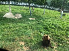 -西安秦岭野生动物园