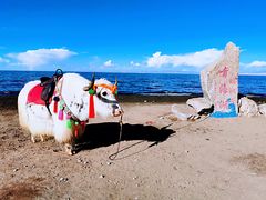 -青海湖国家重点风景名胜区