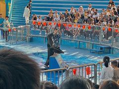 -华夏文旅海洋公园