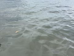 -北海金海湾红树林生态旅游区