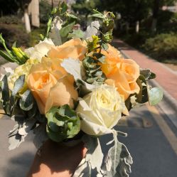 -蚂蚁婚车