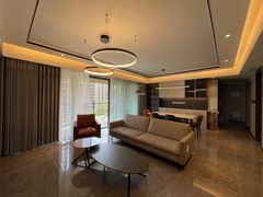 -艾伍奥德全屋定制(锦城万达广场店)