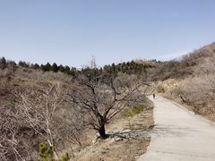 -北京西山国家森林公园