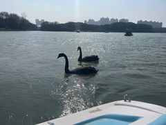 -昆山城市生态森林公园