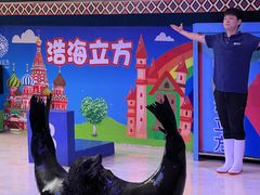 -成都浩海立方海洋公园