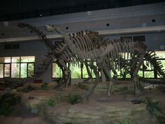 -自贡恐龙博物馆