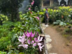 -苍山感通索道