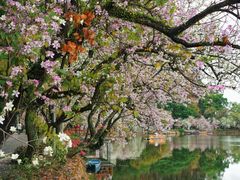 -星湖旅游景区七星岩