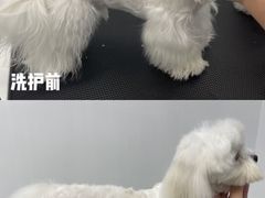 -comecome来吧宠物(奥克斯中心店)