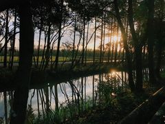 -上海长兴岛郊野公园