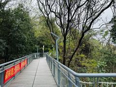 -佛山华盖山公园