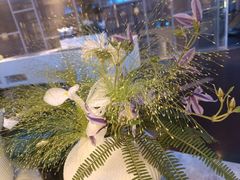 -王家渡火锅店(棕榈泉店)