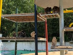 -西霞口神雕山野生动物世界