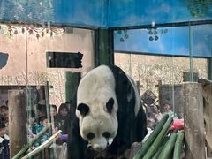 -栾川竹海野生动物园