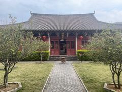 -龙川佗城