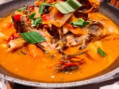 -阿露佳·舌尖上的安吉菜