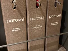 -新加坡瑞士史丹福酒店