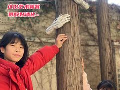 -得丘礼享谷·玉兰苑