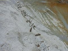 -嘉陵江源头景区