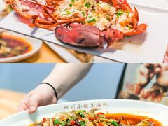 -亚龙湾热带天堂森林公园