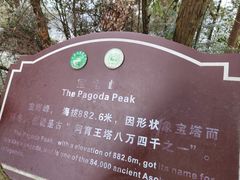 -缙云山景区