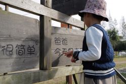 -前小桔亲子创意农场·草莓采摘·露营烧烤