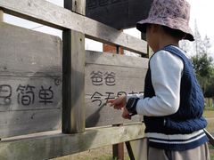 -前小桔亲子创意农场·草莓采摘·露营烧烤