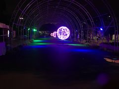 -锦江乐园舞狸花花游园会(夜场专享)