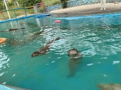 -北戴河圣蓝海洋公园