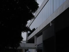 -广州白天鹅宾馆