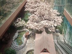 -嘉悦汗蒸时代(曙光路店)
