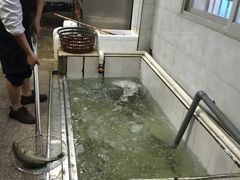 -江东鲈鱼馆(正江东)