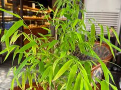 -可稵咖啡面包蛋糕(休斯顿店)