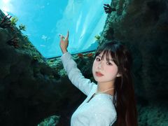 -南昌融创海世界