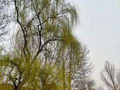 -睦南公园