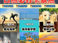 -日照灯塔风景区