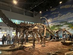 -自贡恐龙博物馆