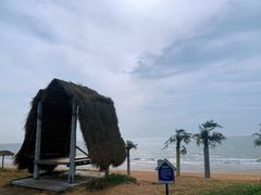 -渡海小渔村.老辈日照菜