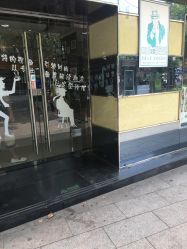 -金太子形象设计