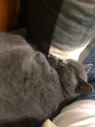 -一笔绣狂草美甲坊