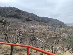 -吉姆冒险世界(蓟州店)