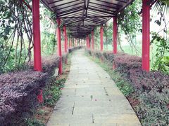 -Club Med地中海俱乐部·桂林度假村