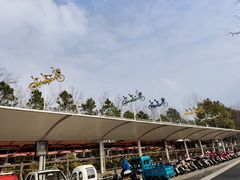 -合肥滨湖国家森林公园