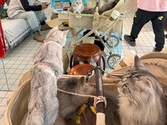 -ID.PHOTO照相馆(嘉里企业中心店)
