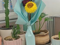 -有喜胶东小馆(太申祥和店)