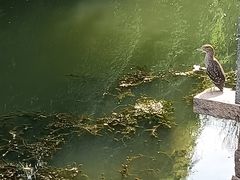 -澹台湖公园