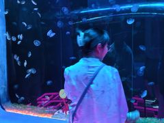 -欢乐海岸海洋奇梦馆